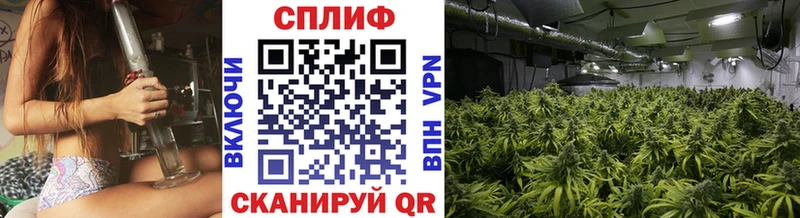 Купить закладки  Гусь-Хрустальный  МАРИХУАНА планчик 